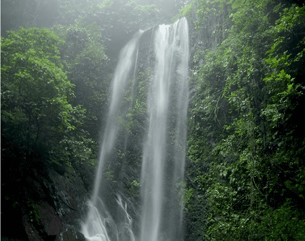 Upcoming Event image